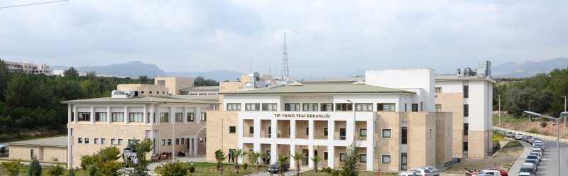 Genel Görünüm