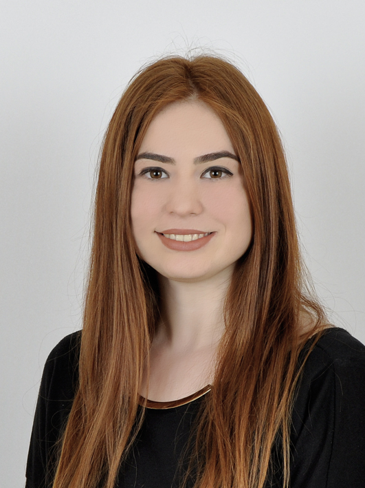 DİDEM İZEL İMREN