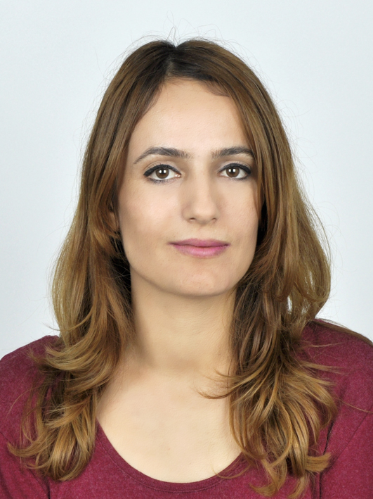 DÖNDÜ ŞAMDAN