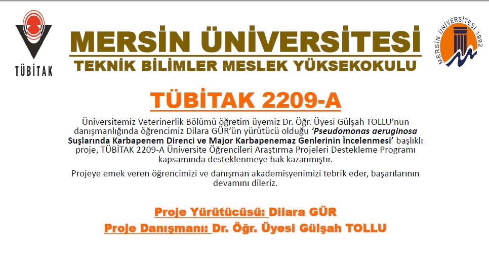 Haber 2